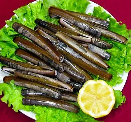 فندق Restaurante Tulipanes بونتيفيذرا