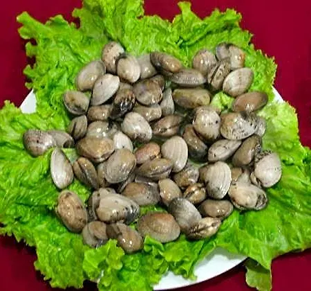 فندق Restaurante Tulipanes *
